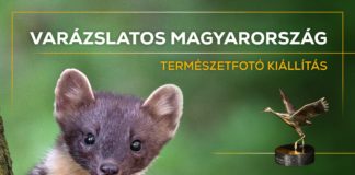 Die besten Naturfotos des Wettbewerbs „Magisches Ungarn“ im Biodóm zu sehen