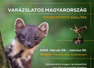 Die besten Naturfotos des Wettbewerbs „Magisches Ungarn“ im Biodóm zu sehen