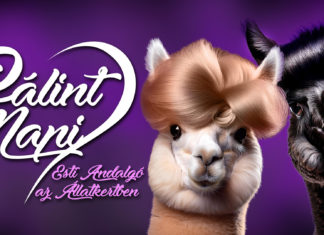 Romantischer Abendspaziergang im Zoo Debrecen