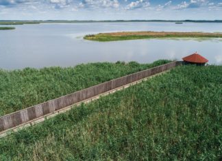 Die Natur erwacht, die Ställe öffnen sich in Hortobágy!
