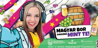 Eine neue Kampagne fördert die Vielfalt ungarischer Weine