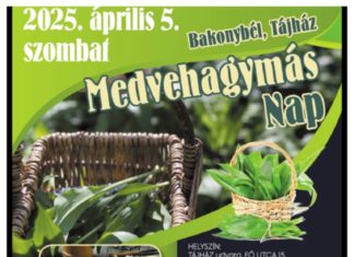 Bärlauch-Tag in Bakonybél