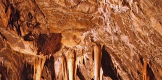 15. März – Nationalparks laden am Wochenende mit zahlreichen Programmen ein