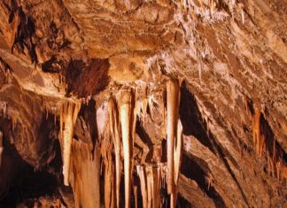 15. März – Nationalparks laden am Wochenende mit zahlreichen Programmen ein