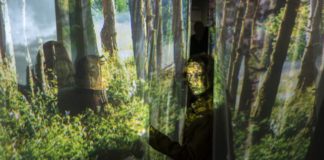 Eine musikalische Reise um die Welt – Neue Sonderausstellung im Haus der Musik