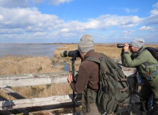 Wildpark geschlossen, aber Storchenauswilderung am 15. März in Hortobágy findet statt