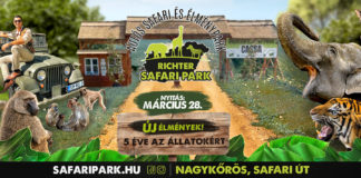 „Affentour“ als neue Attraktion im Richter Safari Park