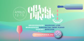 Frühlingspicknick in Etyek