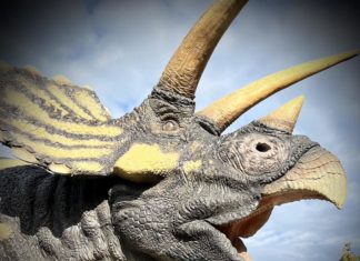 DinoPark Budapest – Wiedereröffnung