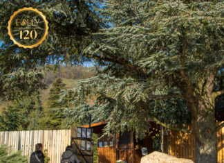 120 Jahre Folly Arboretum