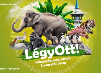 Neues Erlebnisprogramm „LégyOtt!“ im Zoo Budapest