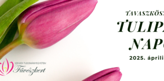 Frühlingshafte Tulpenfesttage im Botanischen Garten Szeged