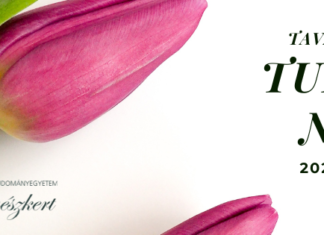 Frühlingshafte Tulpenfesttage im Botanischen Garten Szeged