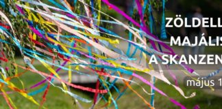 Maibaumschmücken, Konzerte und Märchendarbietungen beim Maifest im Skanzen Szentendre