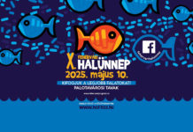 Fehérvári Fischfest 2025 in Székesfehérvár