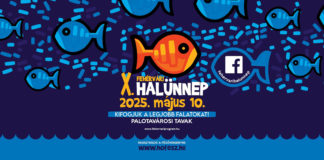 Fehérvári Fischfest 2025 in Székesfehérvár