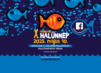 Fehérvári Fischfest 2025 in Székesfehérvár