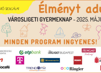 Kostenlose Kinderprogramme im Stadtwäldchen