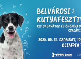 Familienprogramme erwarten Interessierte beim Innenstadt-Hundefestival in Budapest