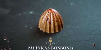 Preise des Pálinka-Festivals in Gyula verliehen