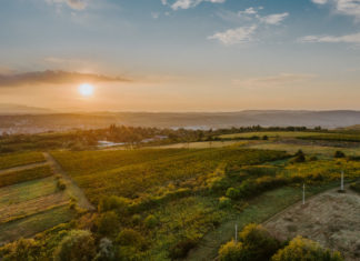 Von Budapest bis Balaton: Kulturrausch, Genussmomente und Festivalfieber