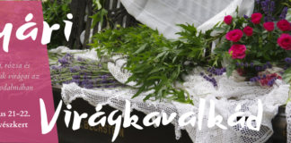 Sommerliche Blumenpracht erwartet die Besucher im Botanischen Garten der Universität Szeged