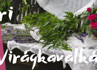 Sommerliche Blumenpracht erwartet die Besucher im Botanischen Garten der Universität Szeged