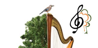 „Der Wald musiziert“ – Mátra-Programme