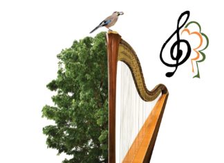 „Der Wald musiziert“ – Mátra-Programme