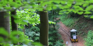 Erdei Gasztroexpressz/Wald-Gastro-Express Miskolc