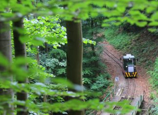 Erdei Gasztroexpressz/Wald-Gastro-Express Miskolc