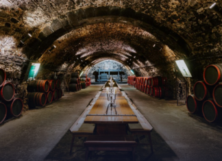 Tokaj – Wein, Natur und Erlebnisse