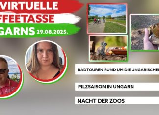 Die Virtuelle Kaffeetasse Ungarns am 29.08.2025
