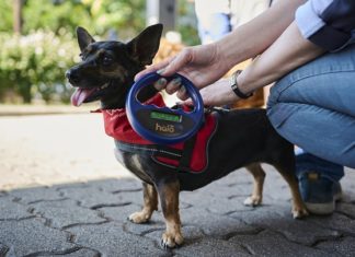 20. August – So helfen Tankstellen entlaufene Hunde wiederzufinden