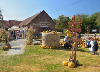 10 unverzichtbare Kürbis-Events in Ungarn in diesem Herbst