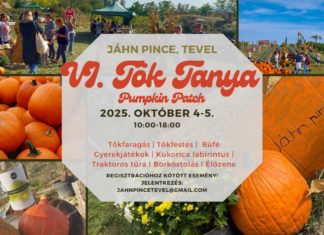 TÖK TANYA – Pumpkin Patch in Tevel 🍂