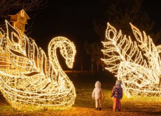 Lichterzauber in Pécs – Der „Verzauberte Wald der Lichter“ öffnet am 24. Oktober im Zsolnay-Viertel