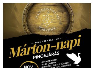 Martins-Weinwanderung im Weinbaugebiet Pannonhalma – Neuer Wein, Erlebnis und Weinbus an einem Ort