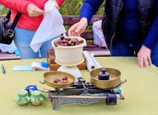 So feierte Velem das Kastanienfest – Tradition, Geschmack und Gemeinschaft