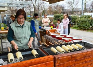 🌿 Bauernmarkt auf der Völgyhíd Wiese & in der Konyha 🌿📅 25. Oktober (Samstag)🕙 10:00–14:00 Uhr