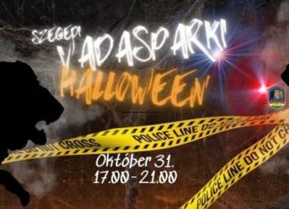 Halloween in Ungarn: Wo es sich lohnt am 31. Oktober zu feiern