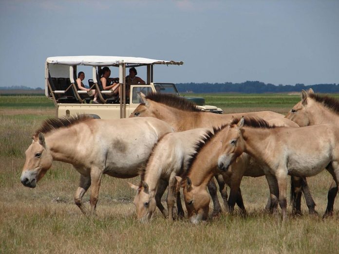 570390633_1346147117301299_8819212150477870724_n