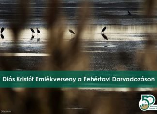 Kranichbeobachtung am Fehér-See bei Szeged: Herbstliche Naturerlebnisse im Kiskunság