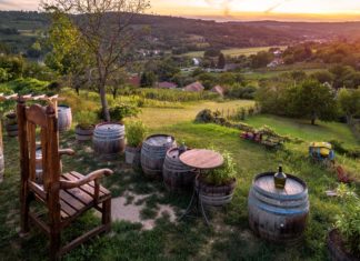 Tokaj: Weit mehr als ein gutes Glas Wein