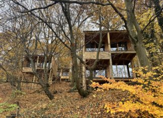 Auszeit in Ungarn: Wälder, heiße Quellen & gemütliche Hideaways – perfekt für Herbst und Winter🍁