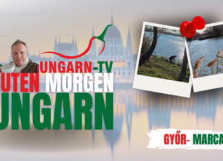 GUTEN MORGEN Ungarn: Live vom Marcal-See