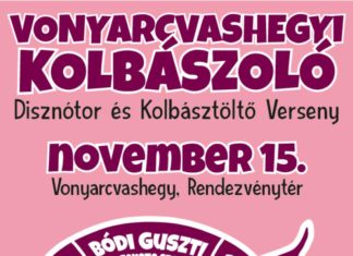 Tannenzapfenernte im Folly-Arboretum – Ein herbstliches Erlebnis am Balaton