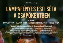 Abendlicher Lichter-Spaziergang im Csapókert in Debrecen! 🌟