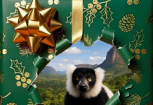 Weihnachtszauber im Zoo Debrecen – festliche Erlebnisse am 27. Dezember