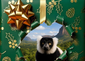 Weihnachtszauber im Zoo Debrecen – festliche Erlebnisse am 27. Dezember